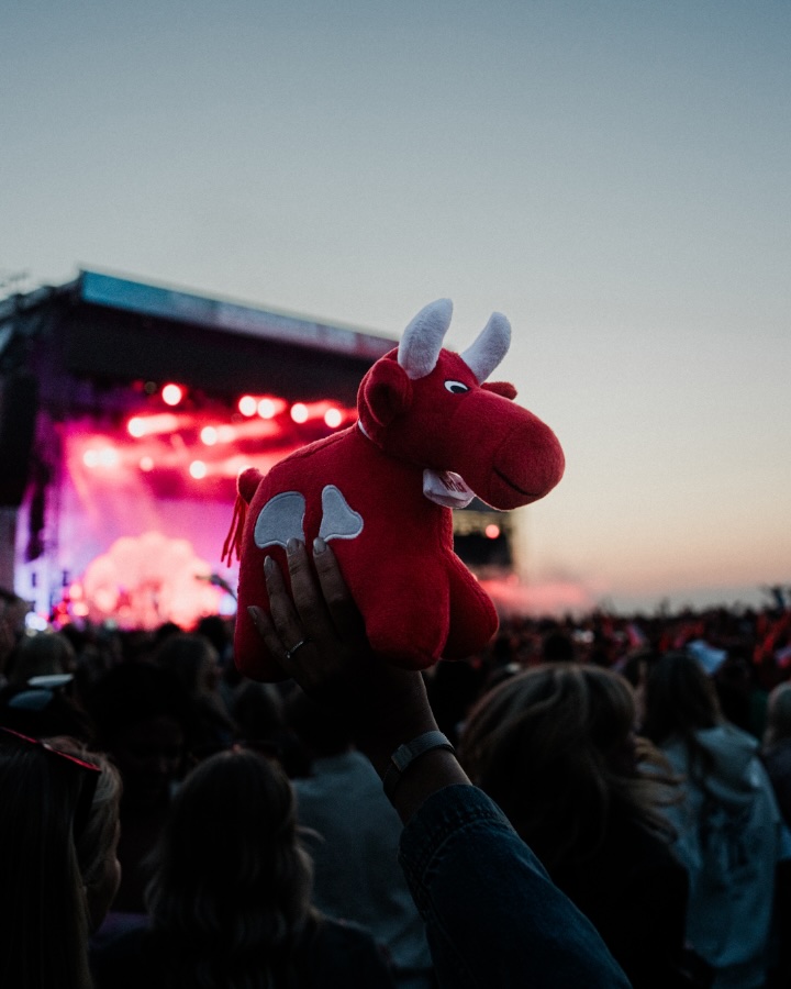 The Arla cow mascot held up over the crowd in front of the stage at Summer On